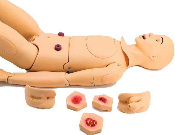 Nursing-Model-3-600x465
