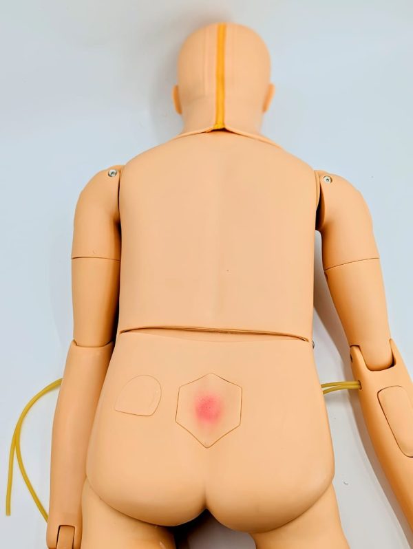 Nursing-Model-5-600x798